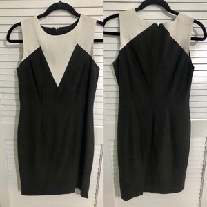 Ann Taylor Dress